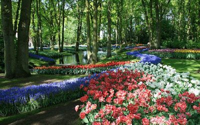 Keukenhof Flower Garden