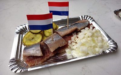 Dutch Herring