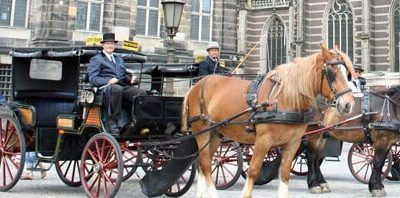 Tour Amsterdam in a Horse Drawn Carriage