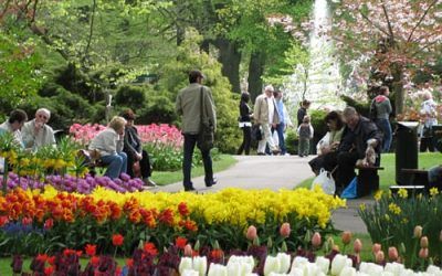 Spring in Amsterdam