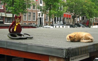 Cat Boat Amsterdam Canal Houseboat for Stray Cats