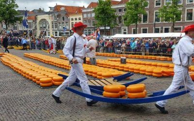 Alkmaar, Cheese and Windmills Tour